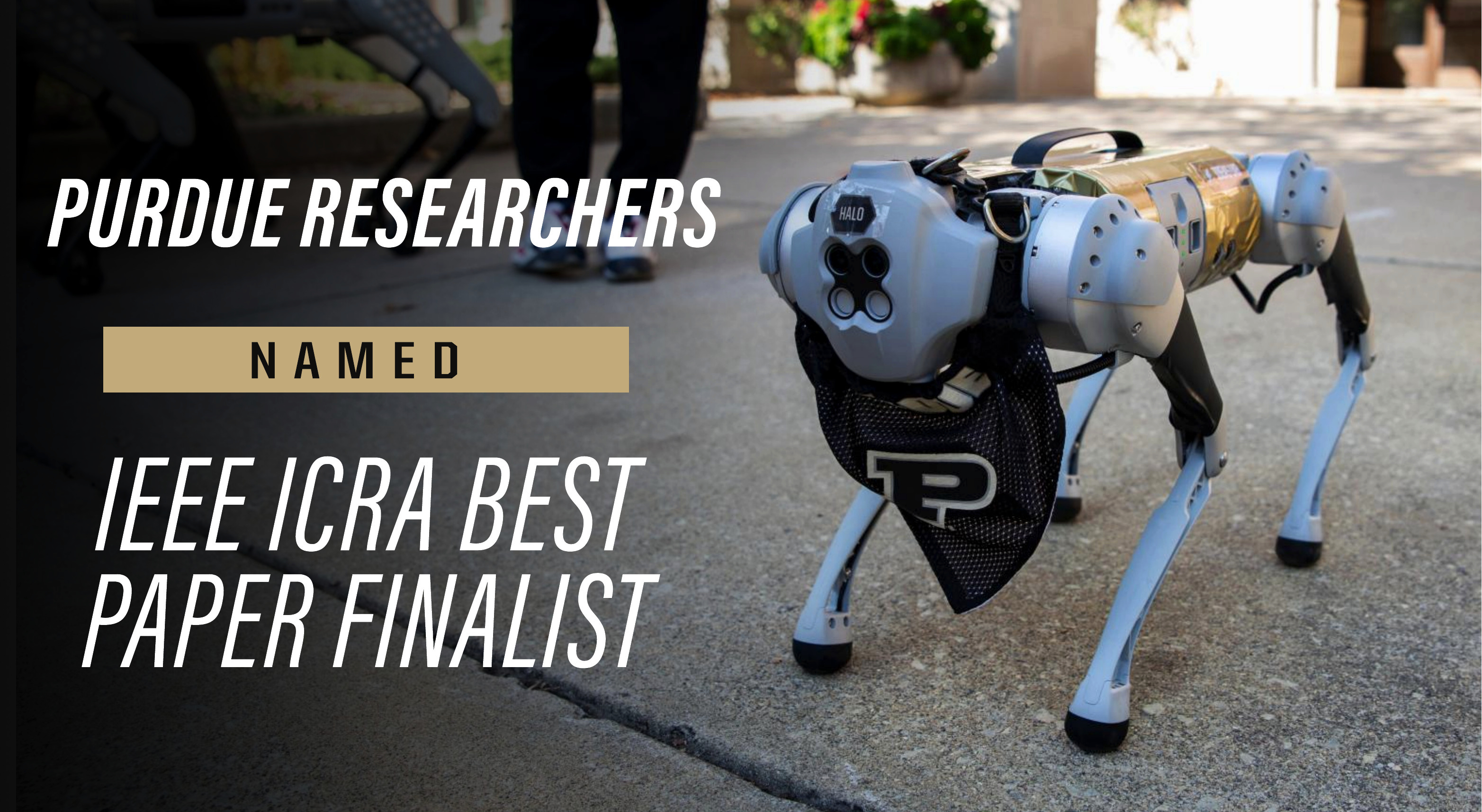 Halo, a robotic canine at Purdue University